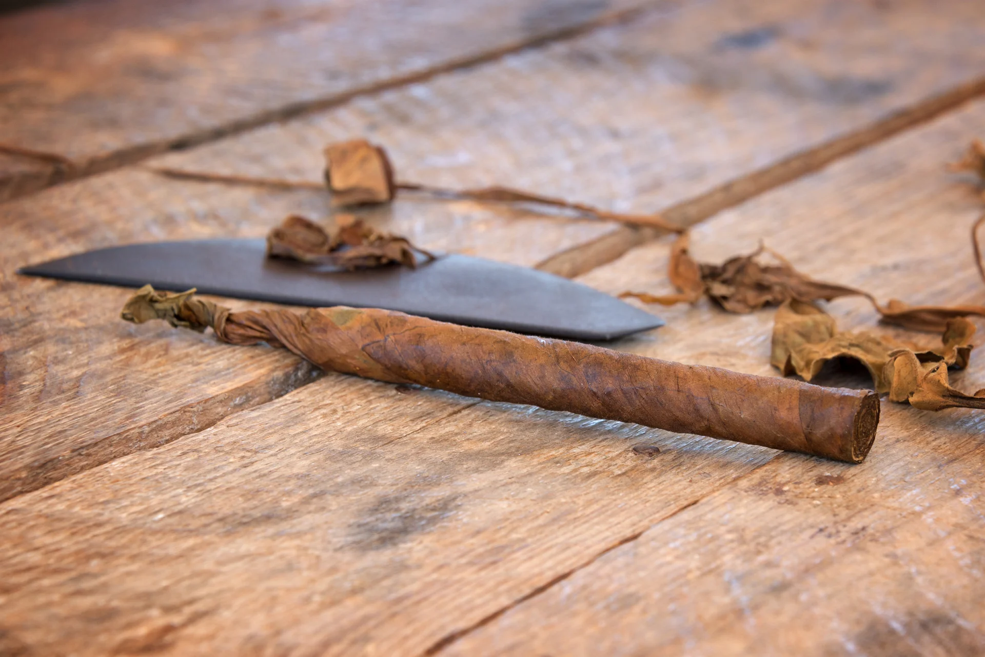 A hand-rolled cigar and tools on a tobacco workbench